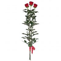 Order exquisitte red rose by the piece (1m) with the best flower delivery