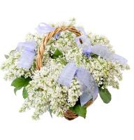 Bouquet White sea