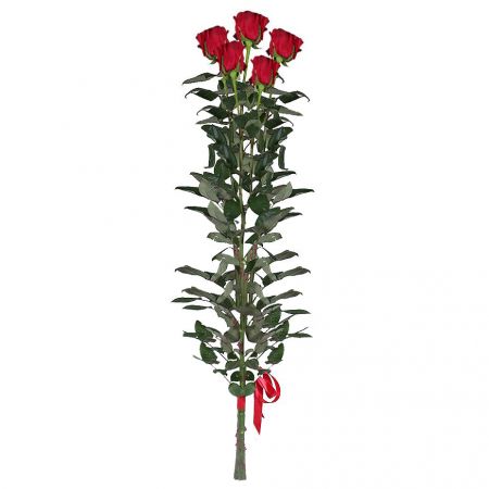 Order exquisitte red rose by the piece (1m) with the best flower delivery
