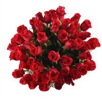 Bouquet 51 premium roses