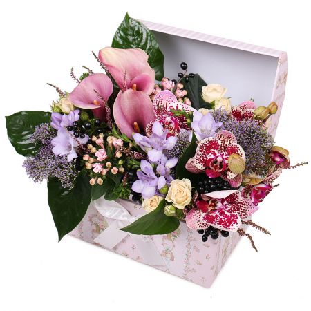 Order flower composition of callas in the box with delivery
