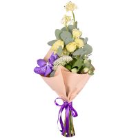 Bouquet Vanda allurement